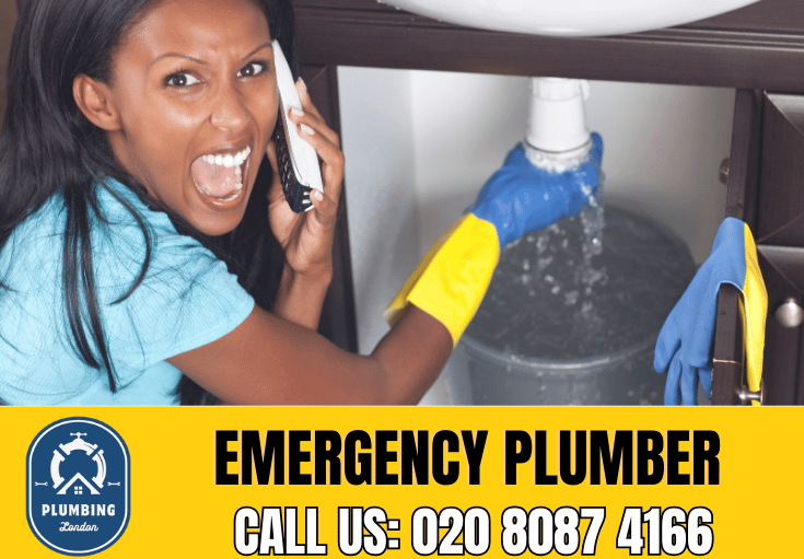 emergency plumber Brockley