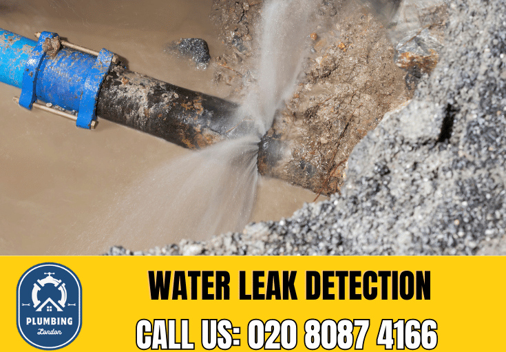 leak detection Brockley